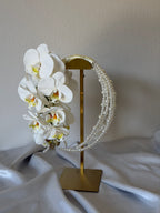 BRIDAL BOUQUET ORCHID
