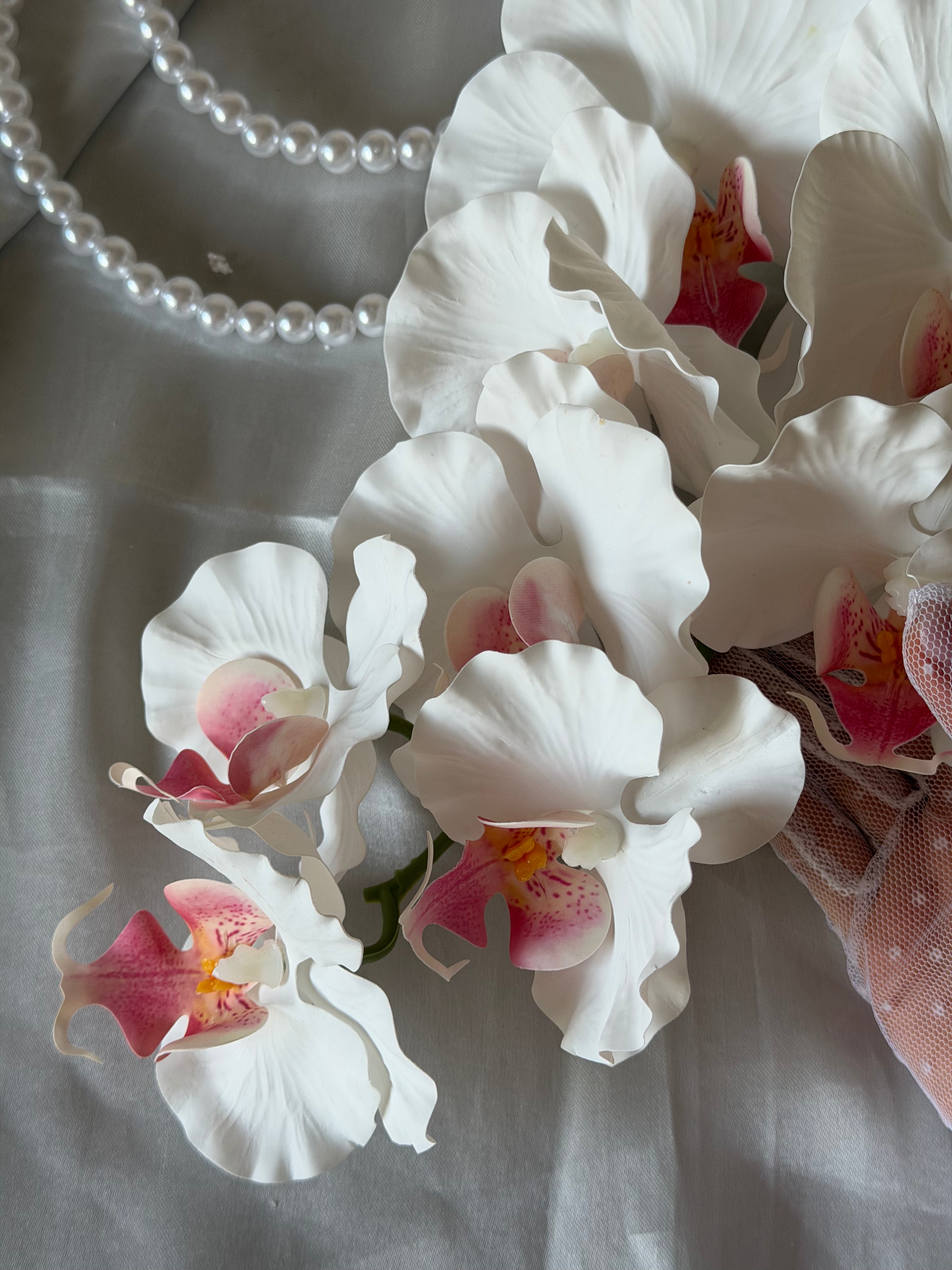 BRIDAL BOUQUET ORCHID
