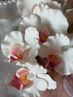 BRIDAL BOUQUET ORCHID