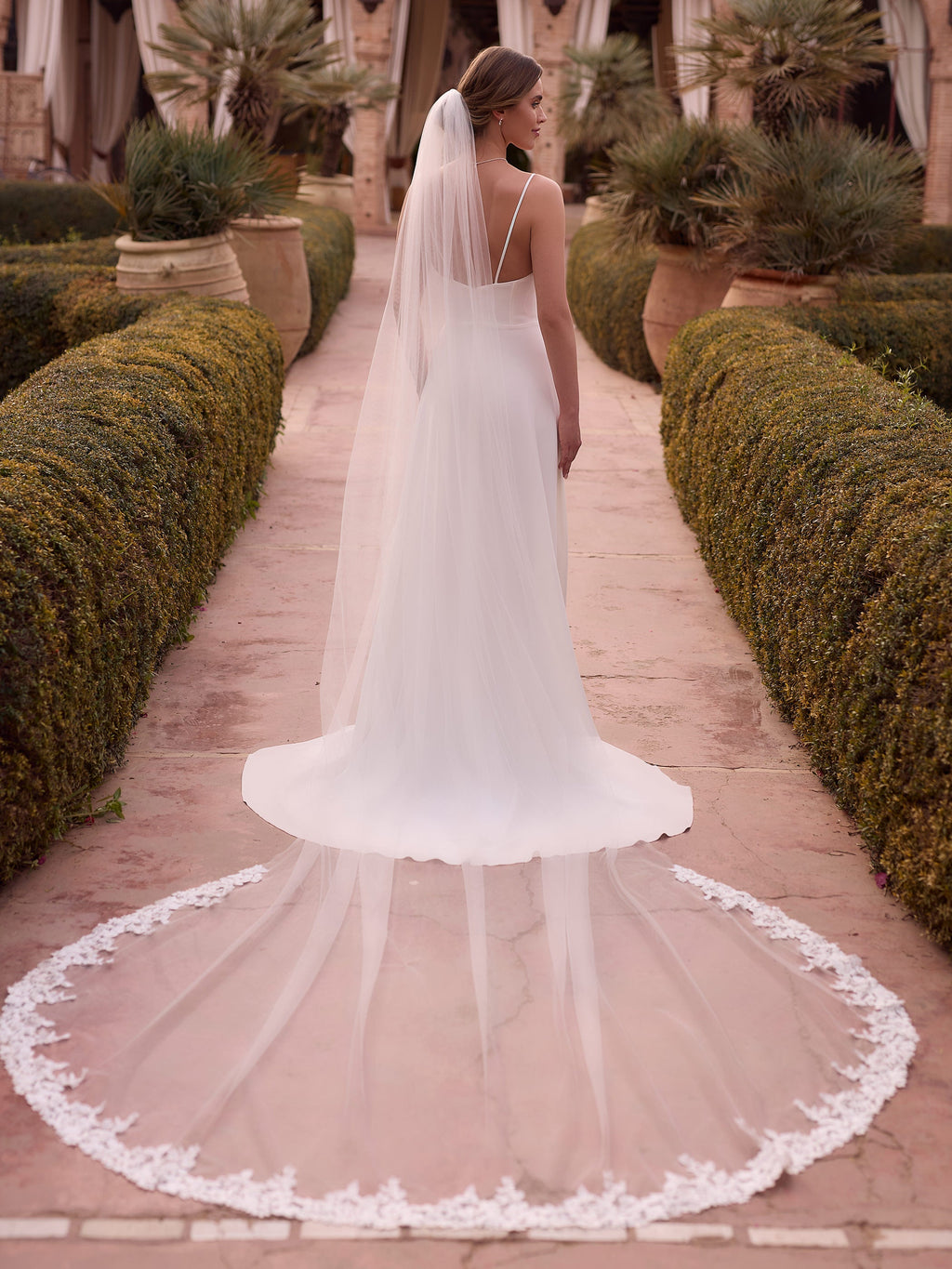 LACE EDGED VEIL S533