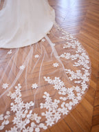 LACE EDGE VEIL S550