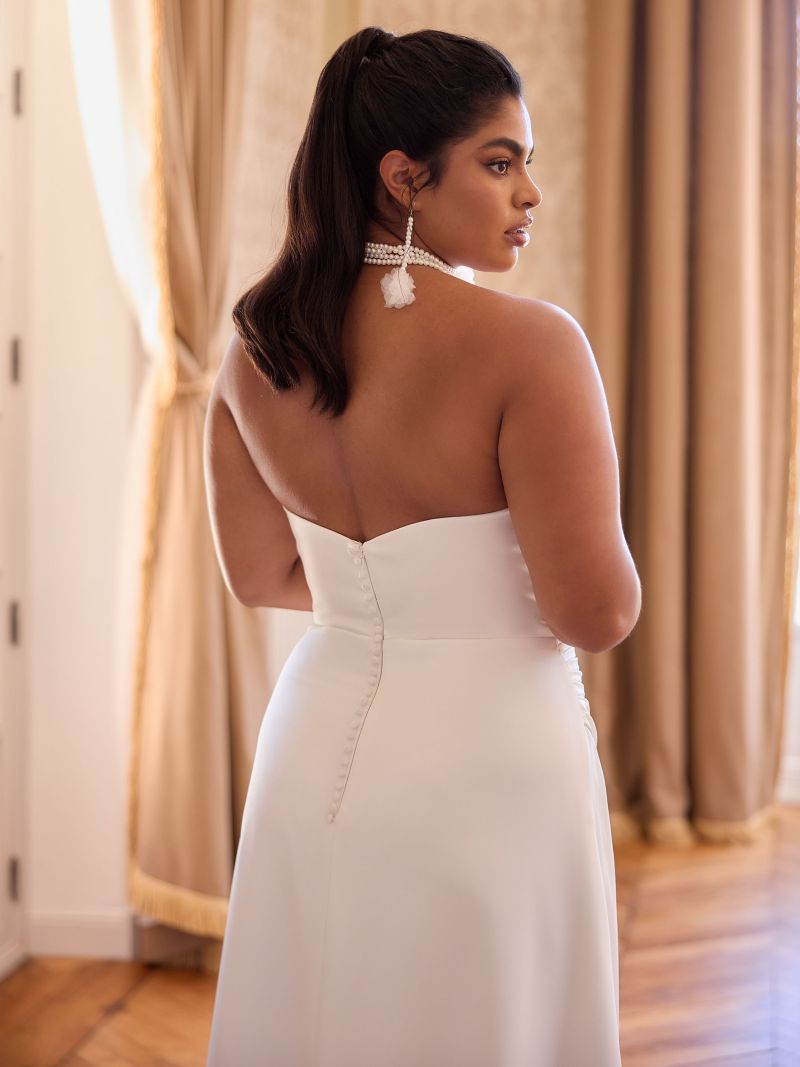 ALICIA PLUS SIZES DRESS