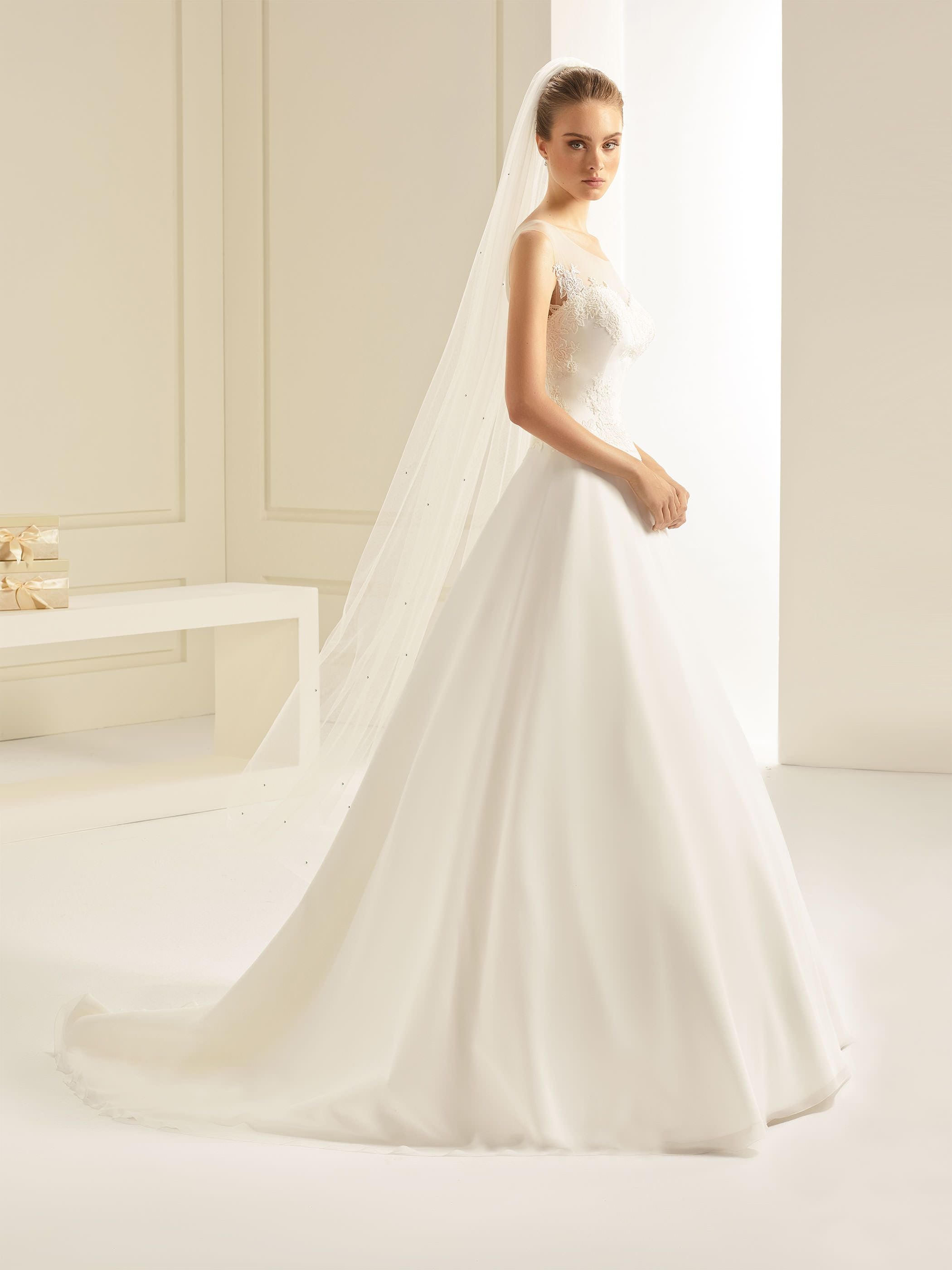 CUTE EDGED VEIL S245