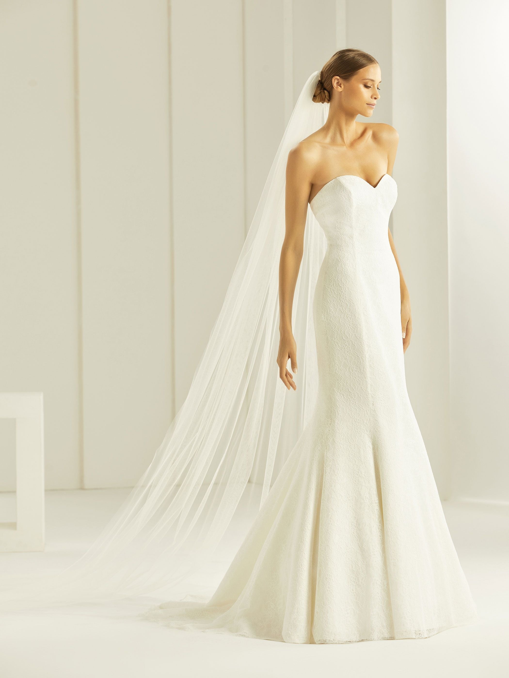 CUTE EDGED VEIL S261