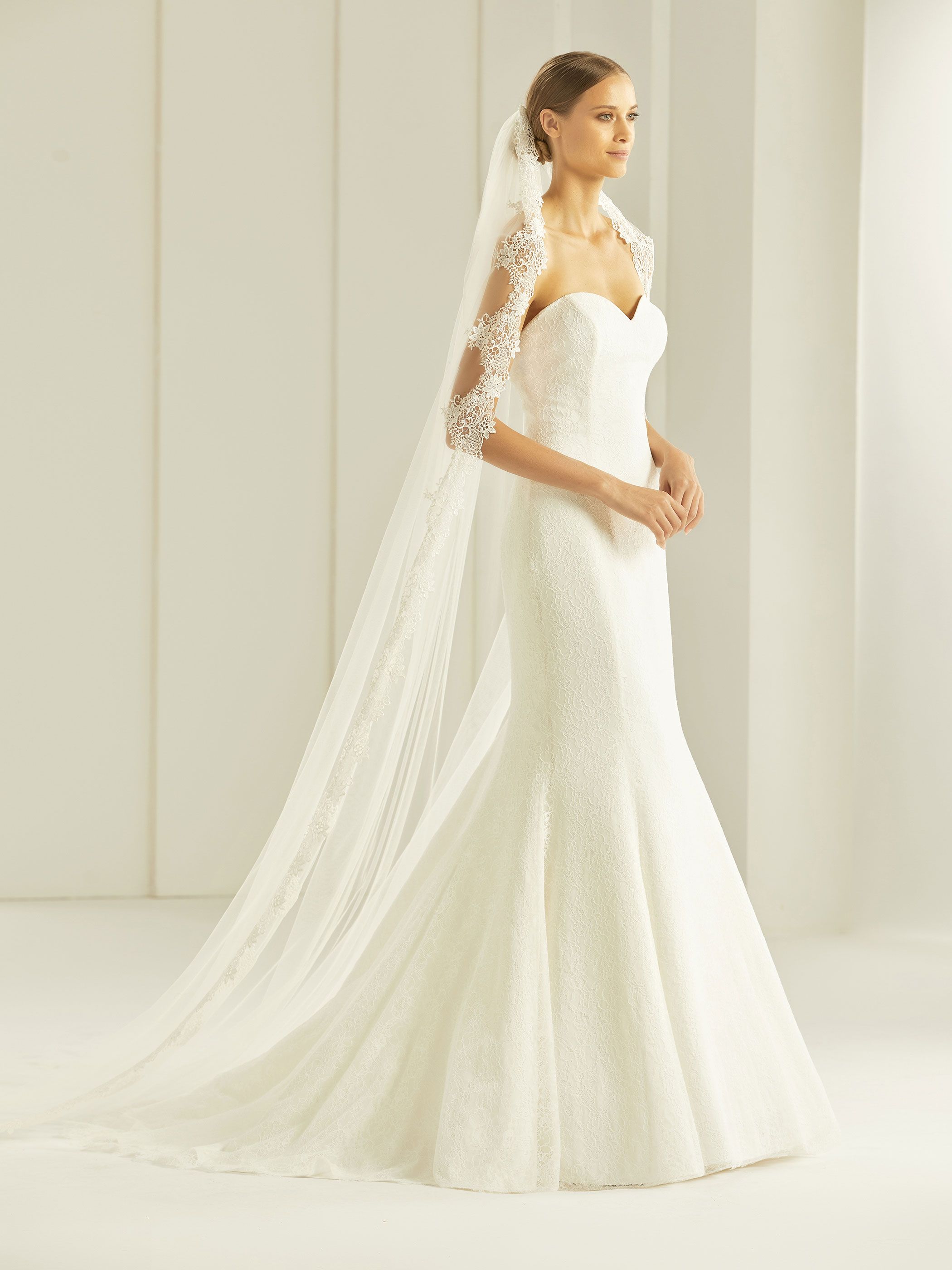 LACE EDGE VEIL S280
